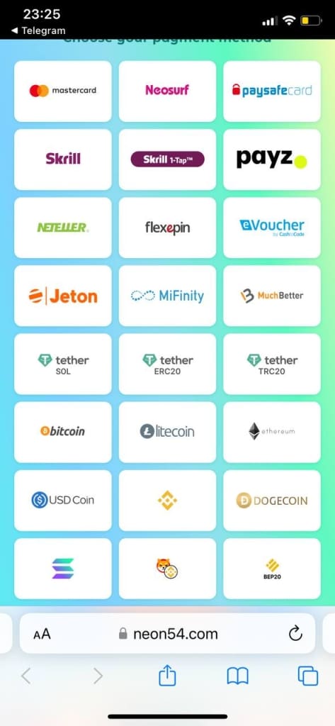 Neon54 payments list