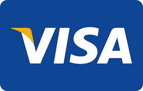visa icon